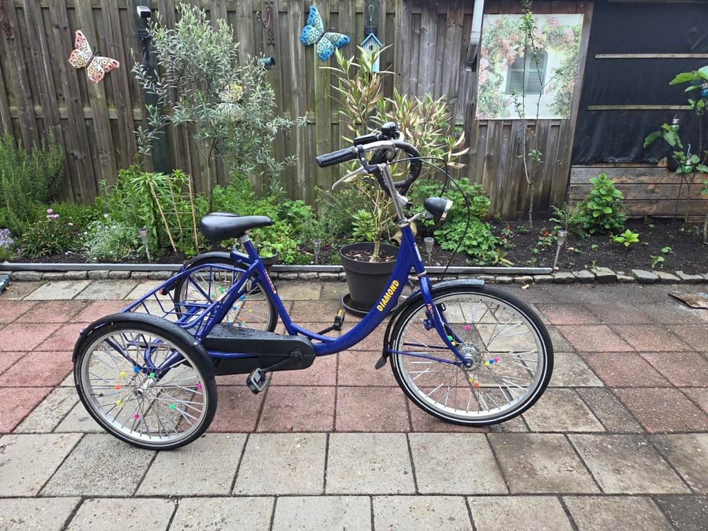Mooie driewieler in goede staat, Fietsen en Brommers, Ophalen