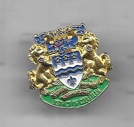 2 LEEUWEN PIN, Verzamelen, Speldjes, Pins en Buttons, Verzenden, Gebruikt, Stad of Land, Speldje of Pin
