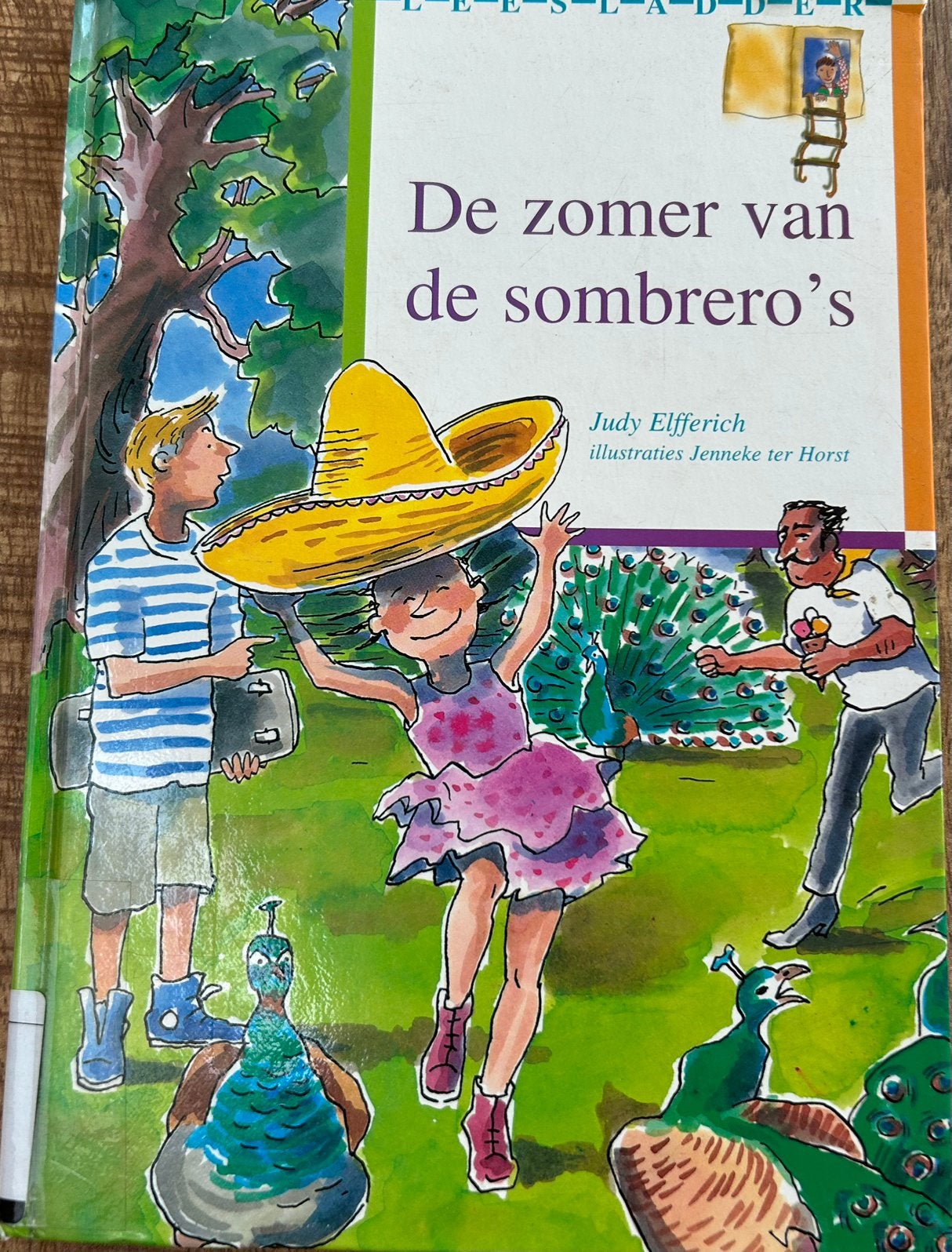 De zomer van de sombrero’s - Judy Elfferich, Boeken, Ophalen of Verzenden, Gelezen