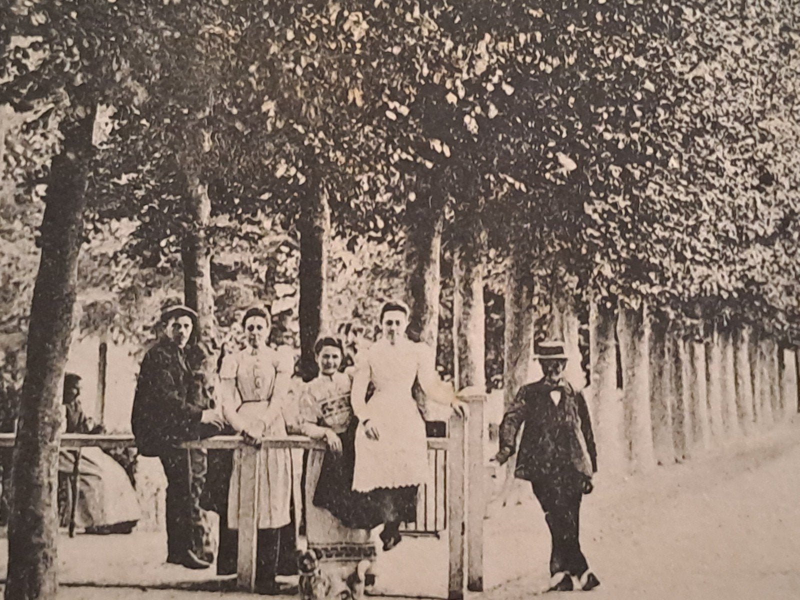 hoogh Vuursche, Ophalen of Verzenden