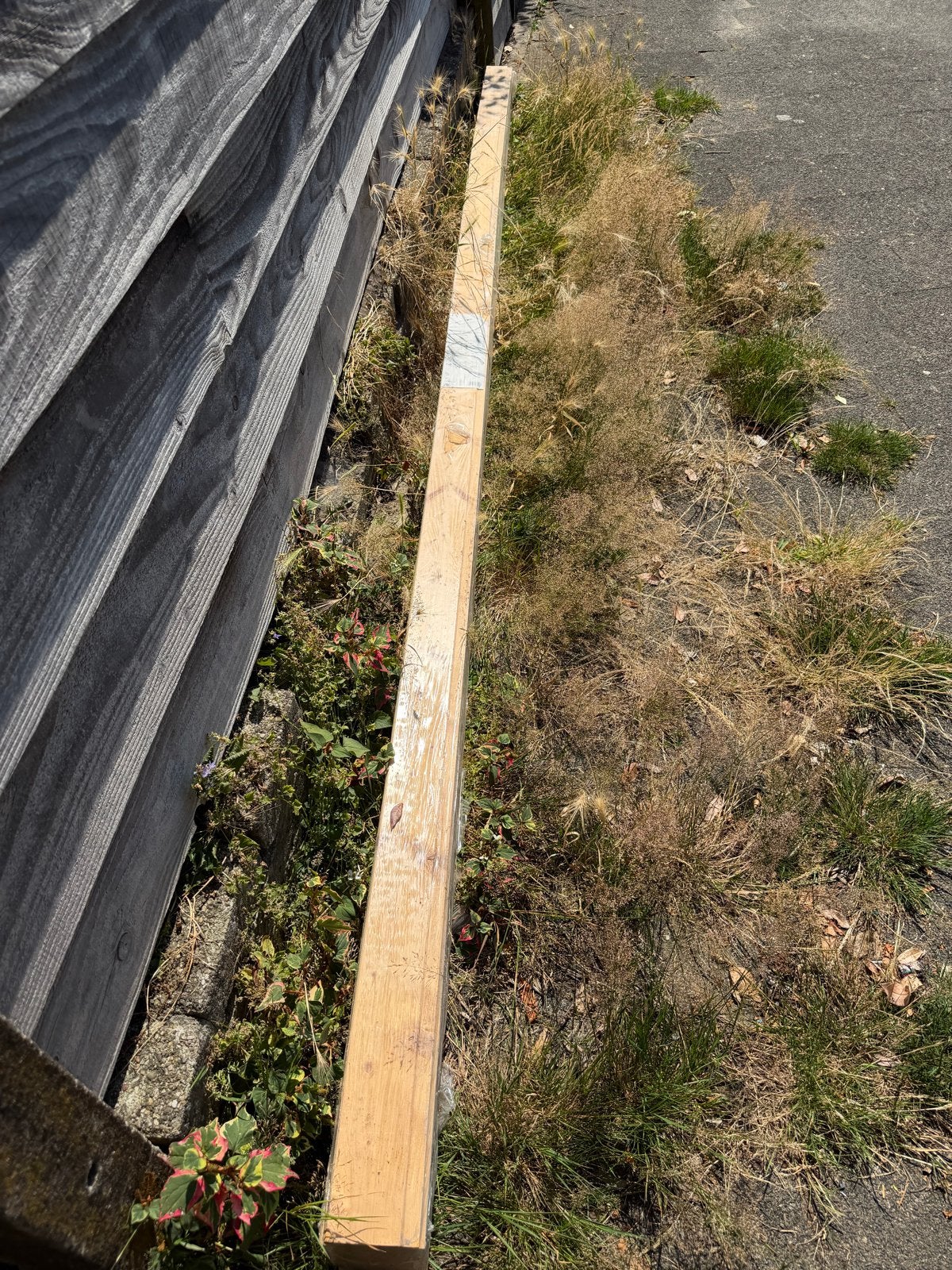 Vuren schroot 360 cm - Nieuw, Ophalen, Minder dan 25 mm, Nieuw, Plank