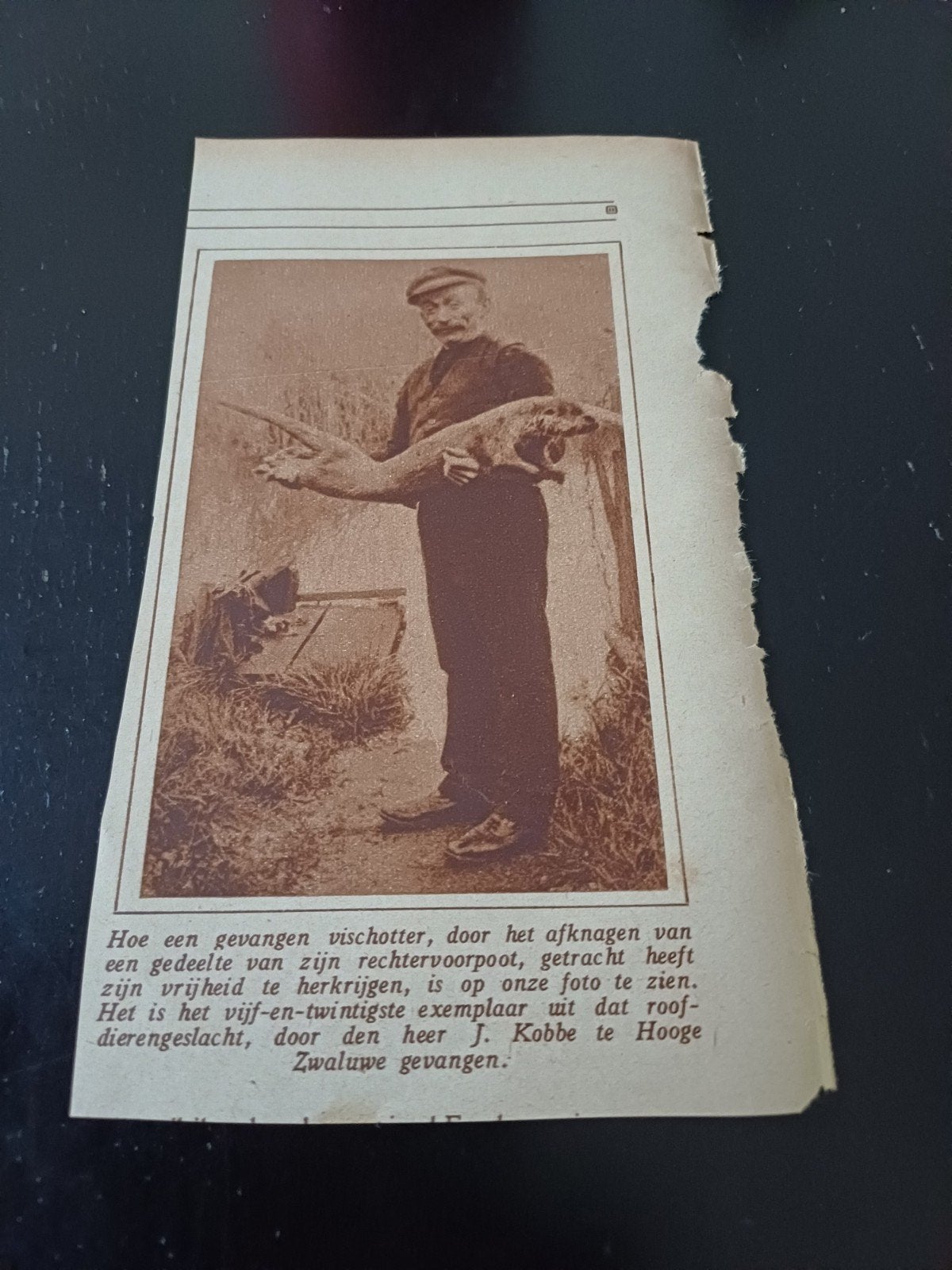 knipsel vangst visotter J. Kobbe Hoge Zwaluwe 1927, Ophalen of Verzenden, 1920 tot 1940, Knipsel(s)
