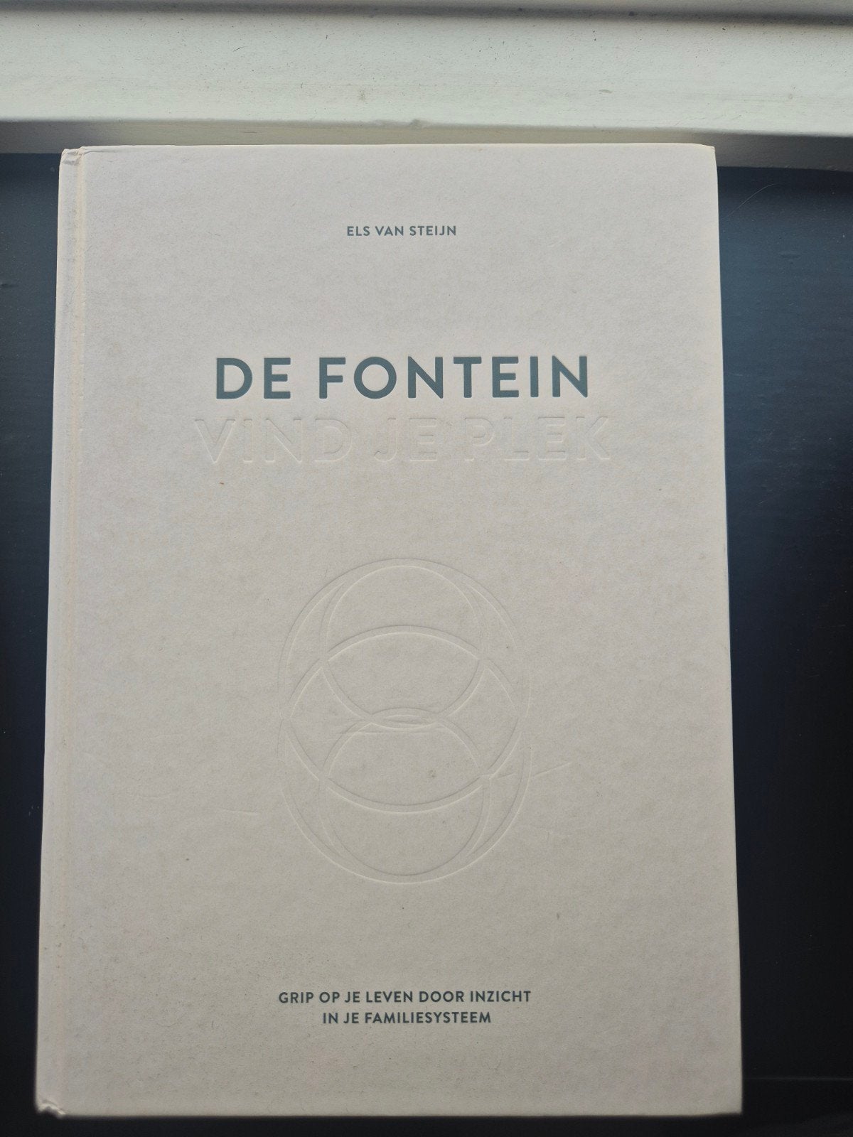 Els van Steijn - De fontein, vind je plek, Boeken, Ophalen of Verzenden, Els van Steijn, Ontwikkelingspsychologie, Zo goed als nieuw