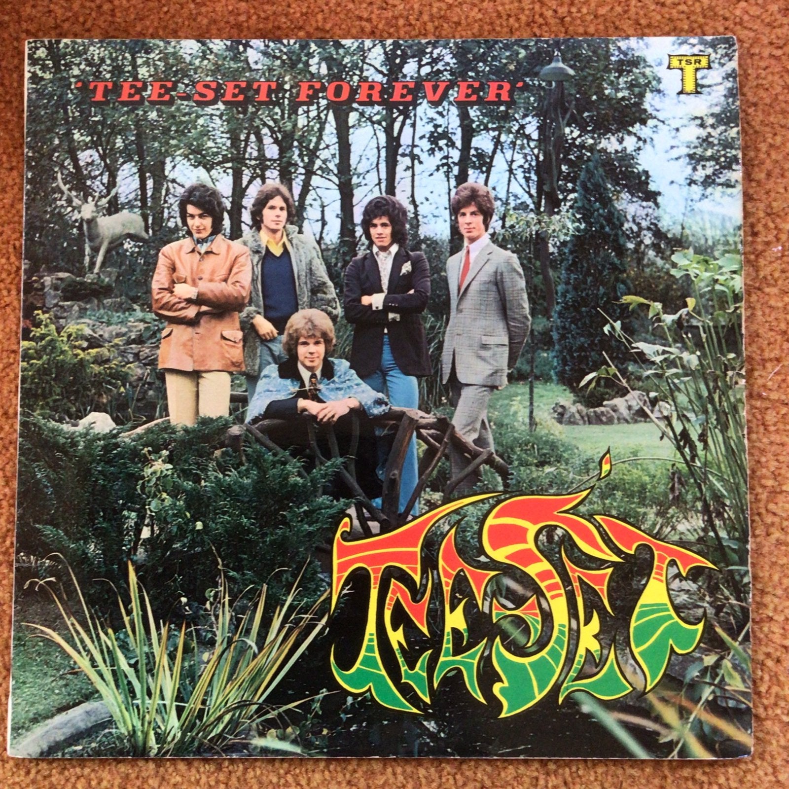 Lp - Tee Set - Forever, Ophalen of Verzenden, Zo goed als nieuw, LP
