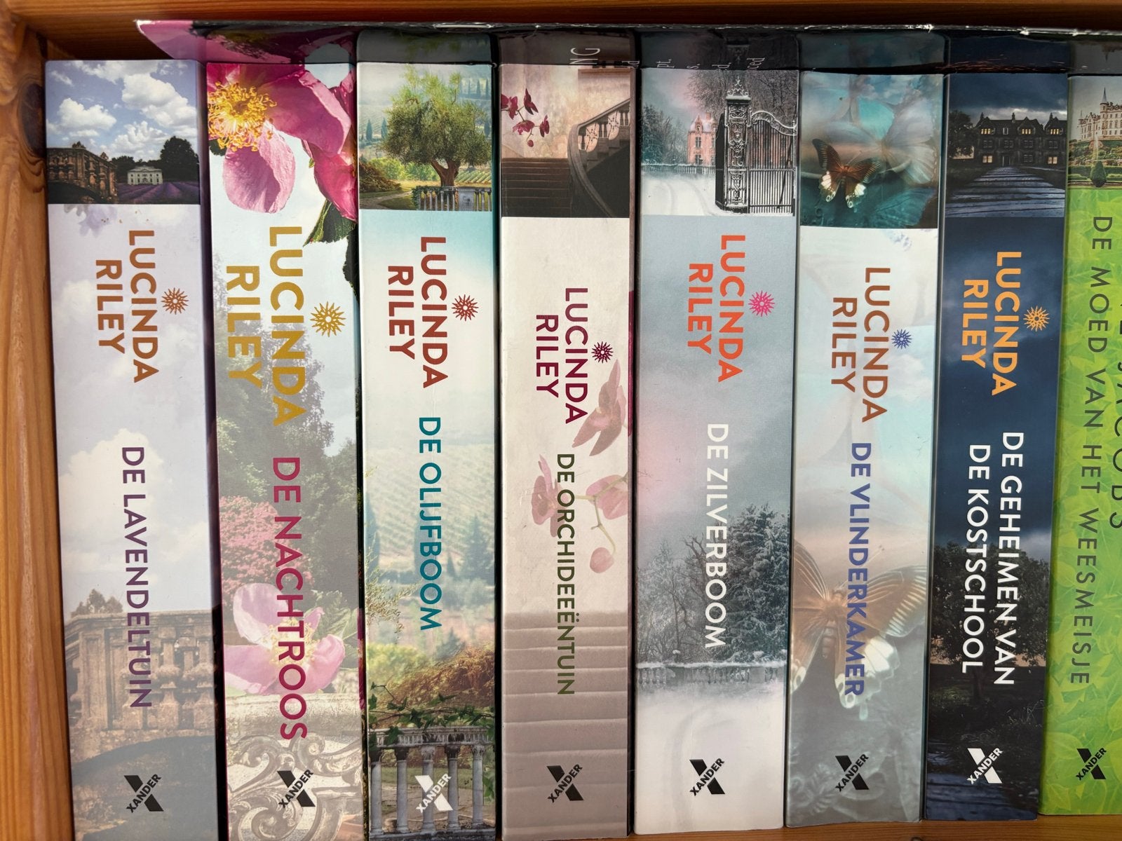 Lucinda Riley boeken - Diverse titels, Ophalen of Verzenden, Gelezen