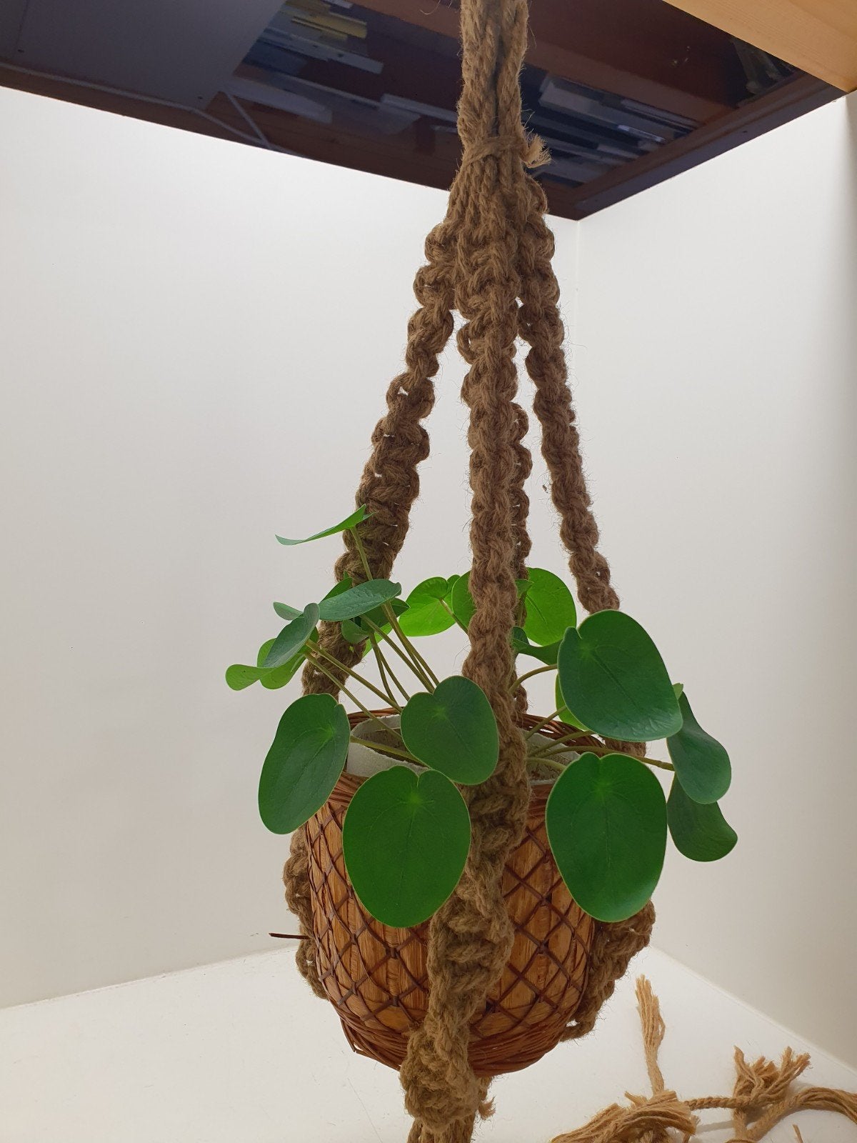 Macramé plantenhanger, Ophalen of Verzenden, Zo goed als nieuw, Natuurlijk materiaal, .