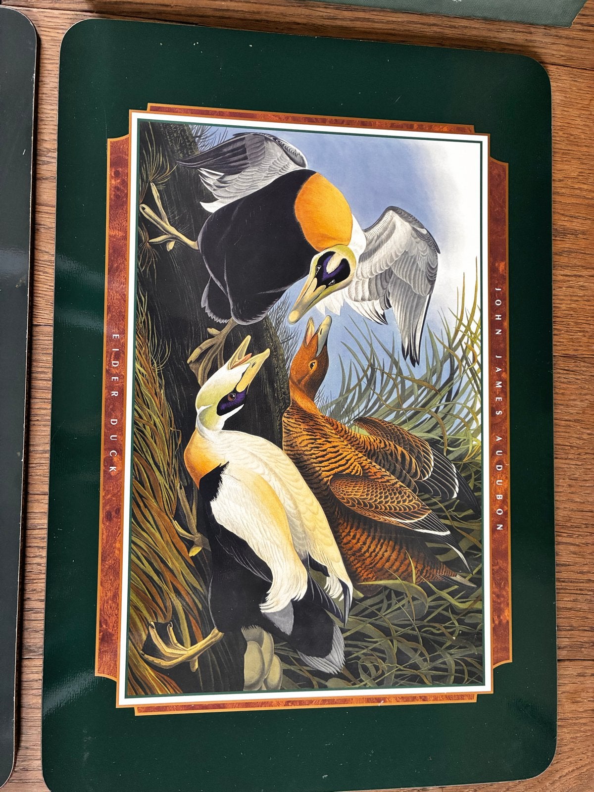 Nieuwe placemats met dierenprints (Audubon/Jason), Ophalen, Meerkleurig, Overige materialen, Nieuw