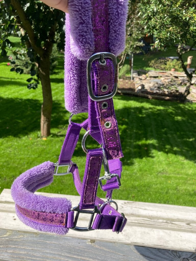 Halster, Met strass/glitters, Shetlander, Gebruikt, Overige disciplines