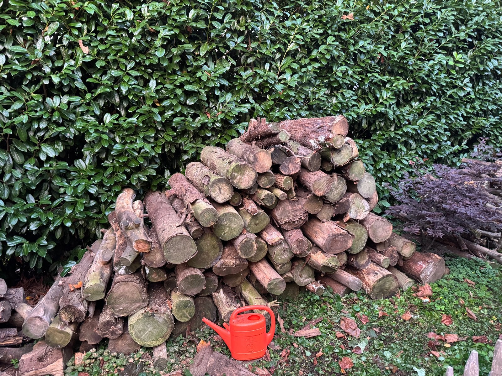 Gratis kachelhout, 3 tot 6 m³, Ophalen, Overige houtsoorten, Stammen