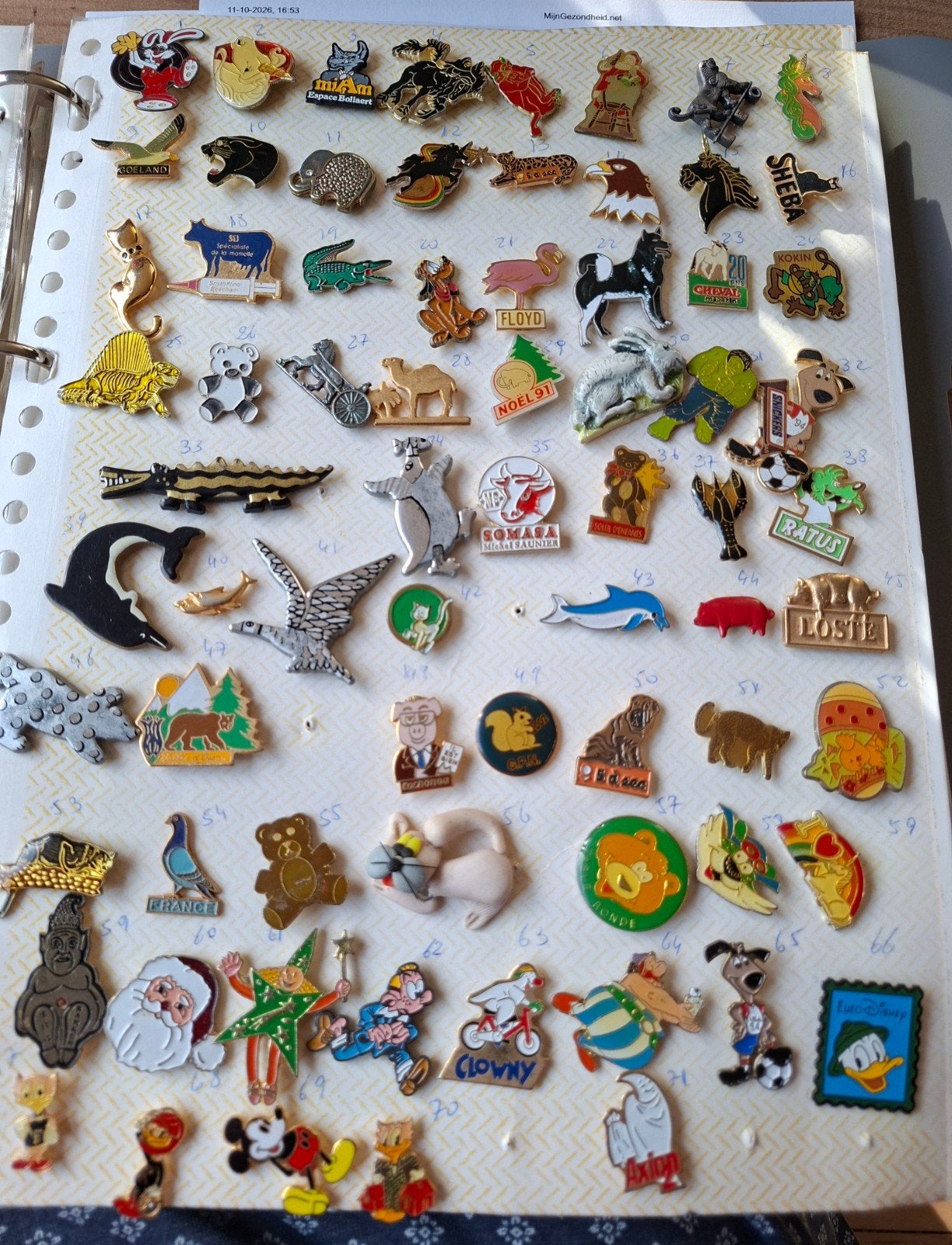 Grote collectie pins - Diverse onderwerpen, Verzamelen, Ophalen of Verzenden, Gebruikt, Overige onderwerpen, Speldje of Pin
