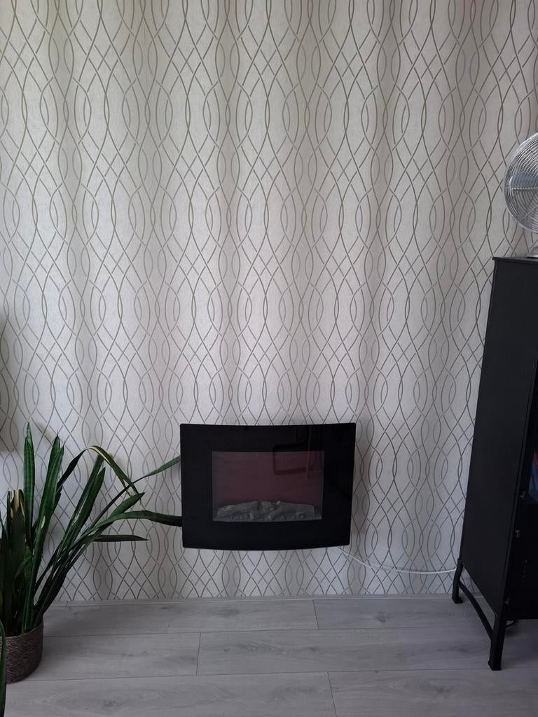 Sfeerhaard 1000/2000W met afstandsbediening, Ophalen