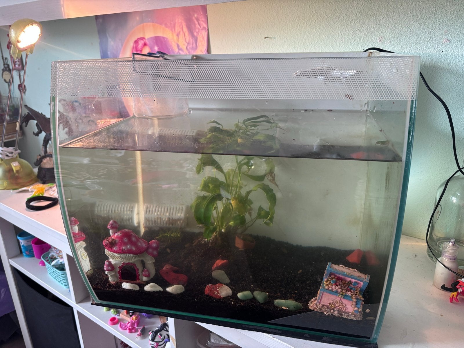 Fluval wit 57 liter, inclussief filter materiaal., Ophalen, Leeg aquarium