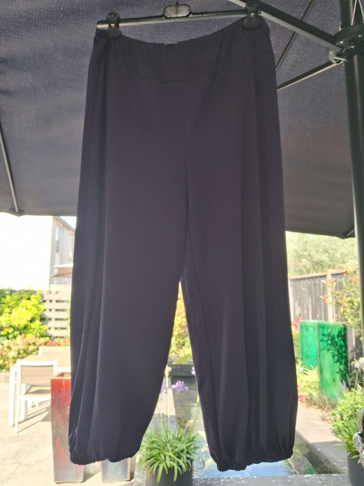 paarse baĺlon/harembroek 46/48, Kleding | Dames, Paars, Ophalen of Verzenden, Zo goed als nieuw, Bleu