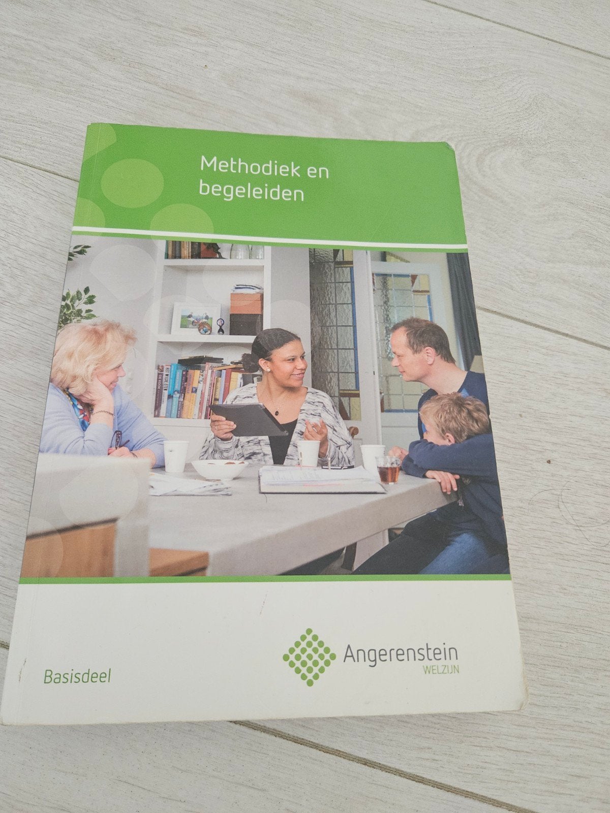 Methodiek en begeleiden - Basisdeel - Edu Actief, Boeken, Ophalen of Verzenden, Zo goed als nieuw, MBO, Angerenstein Welzijn