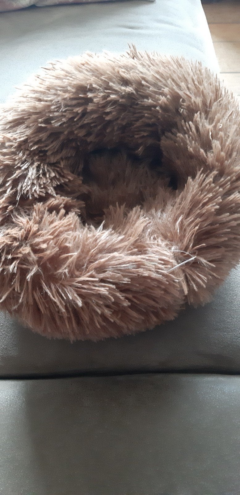 mandje voor jonge cavia/hamster, Ophalen of Verzenden