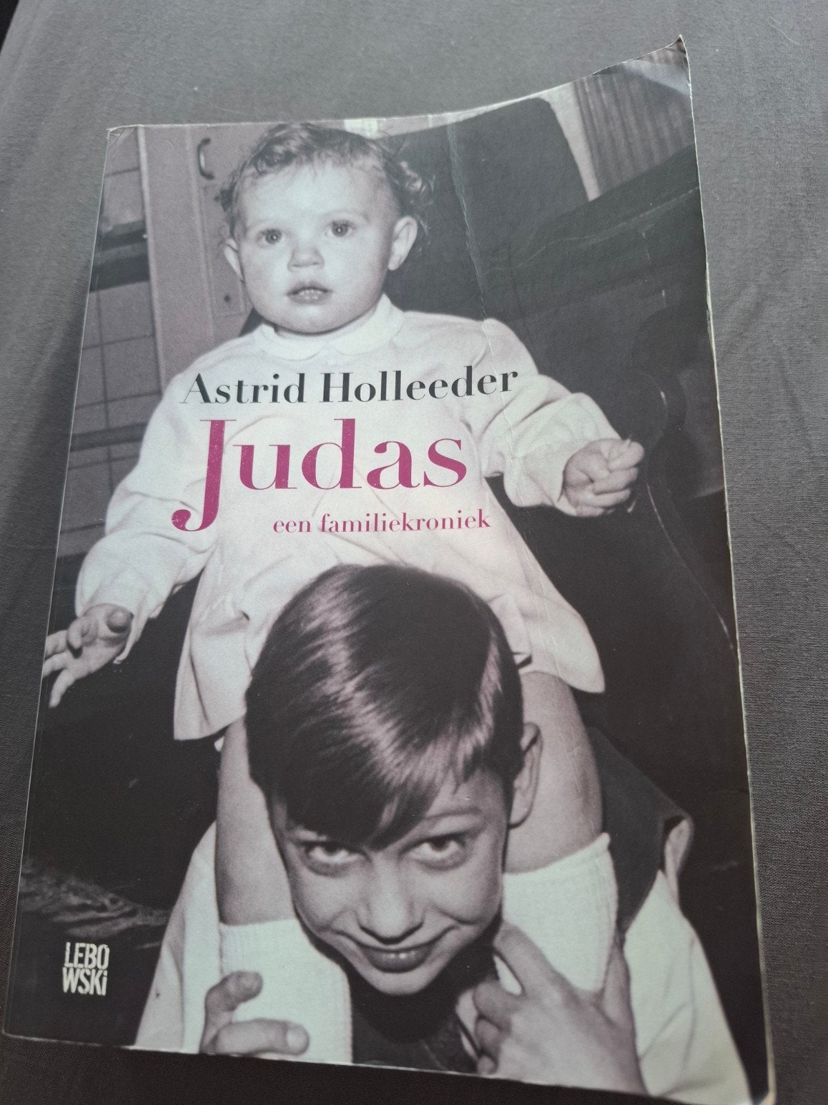 Judas: Een Familiekroniek - Astrid Holleeder, Gelezen, Overige, Ophalen of Verzenden, Astrid Holleeder