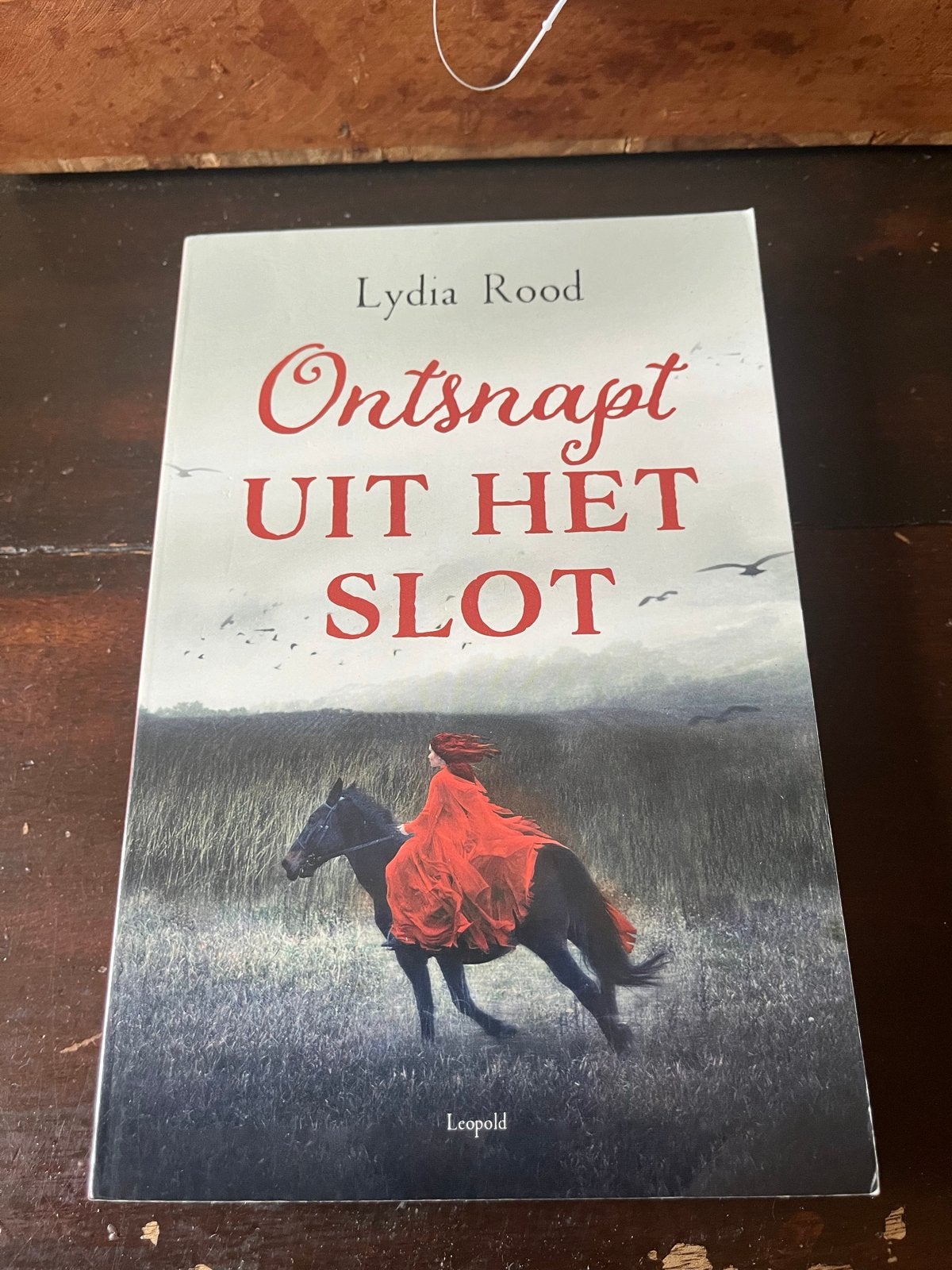 Ontsnapt uit het slot - Lydia Rood, Ophalen of Verzenden, Zo goed als nieuw