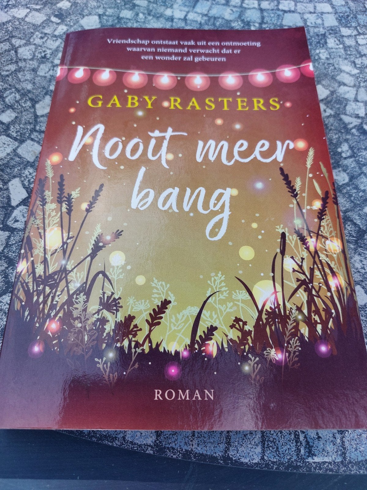 Nooit meer bang - Gaby RASTERS (Roman), Boeken, Romans, Zo goed als nieuw, Nederland, Ophalen of Verzenden