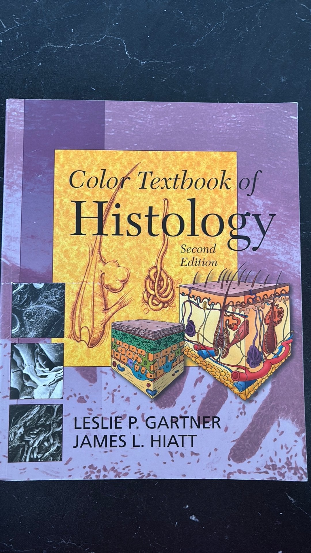 Color textbook of histology, Ophalen of Verzenden, Beta, Zo goed als nieuw, WO