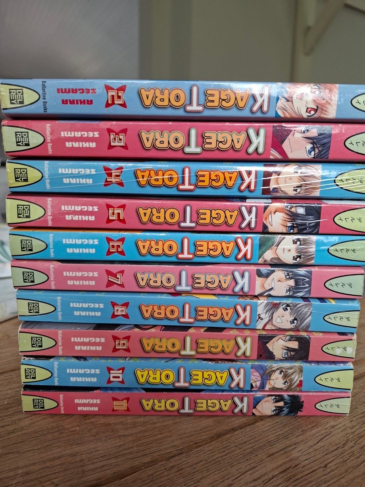 Kage Tora Manga Serie - Deel 2 t/m 11. Delrey, Boeken, Gelezen, Complete serie of reeks, Ophalen of Verzenden, Japan (Manga)