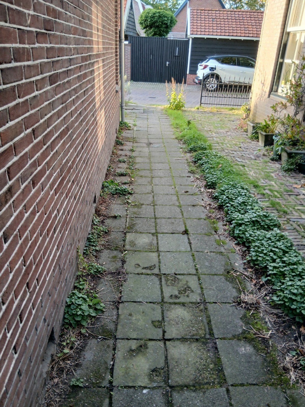 Circa 12m2 30 bij 30 tegels gratis op te halen, Ophalen of Verzenden
