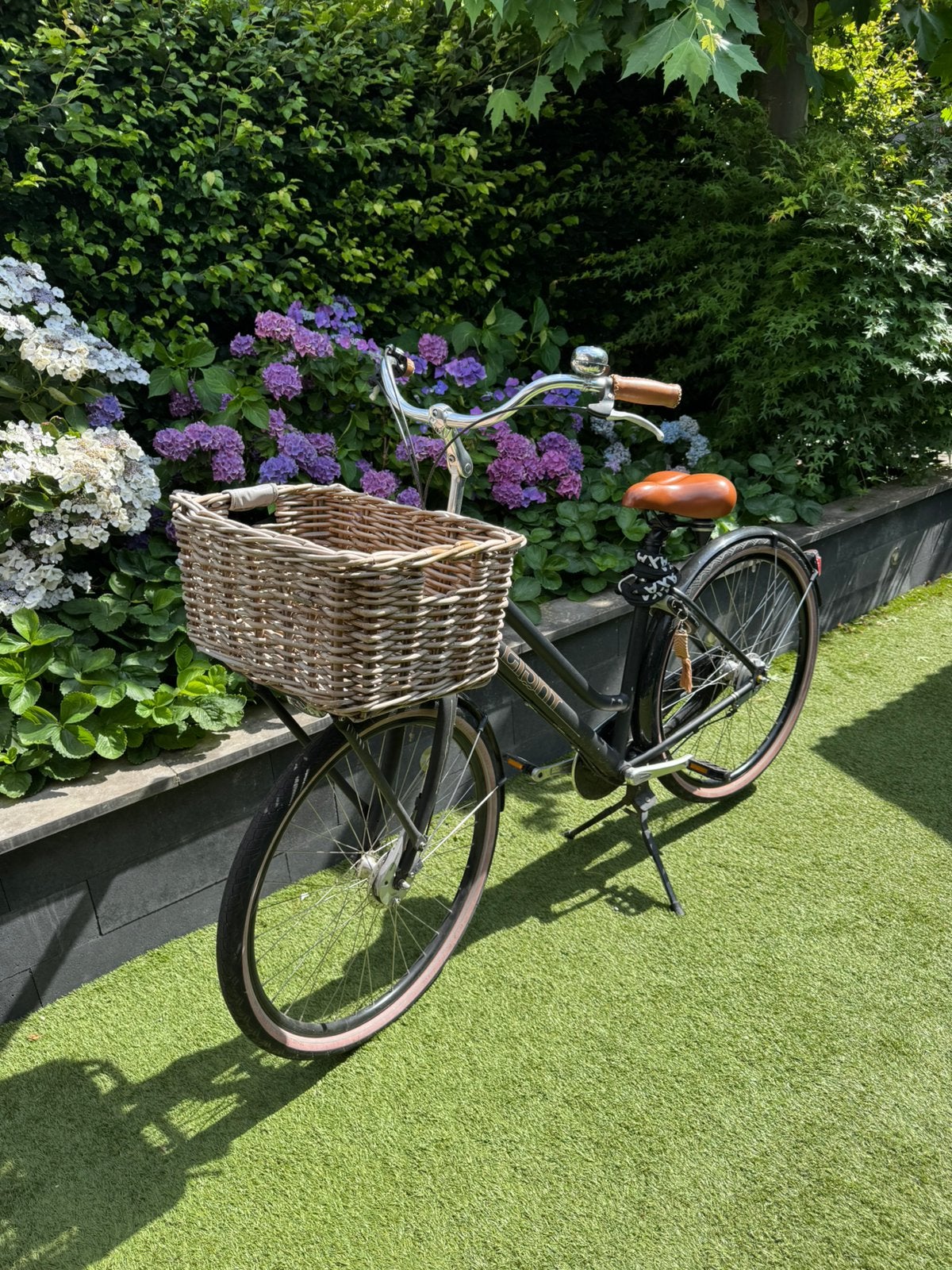 Giant damesfiets, 28 inch, Ophalen, Zo goed als nieuw, Giant, Versnellingen
