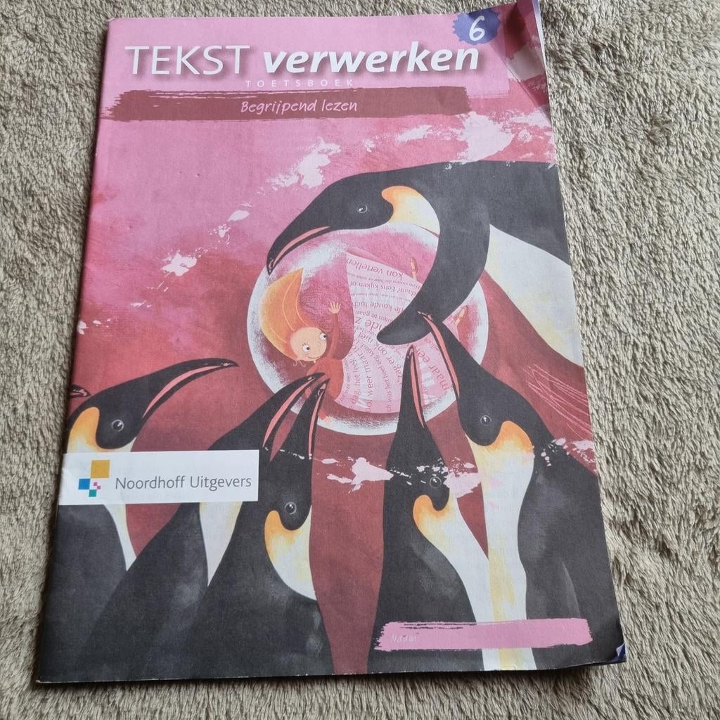 Tekst Verwerken Toetsboek Begrijpend Lezen 6, Ophalen of Verzenden, Nieuw