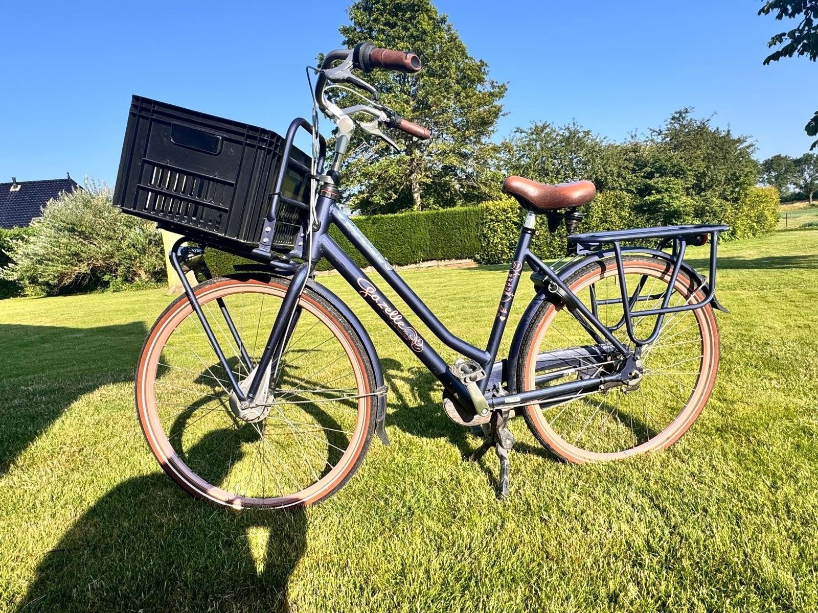 Gazelle fiets met krat en bagagedrager., Ophalen, Gebruikt, Versnellingen, Gazelle