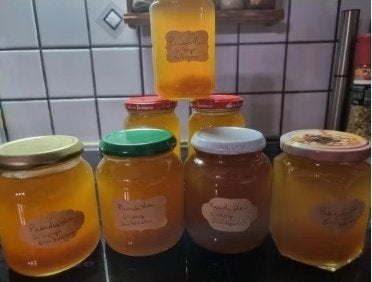 Paardenbloemsiroop, gezoet met stevia, Ophalen of Verzenden