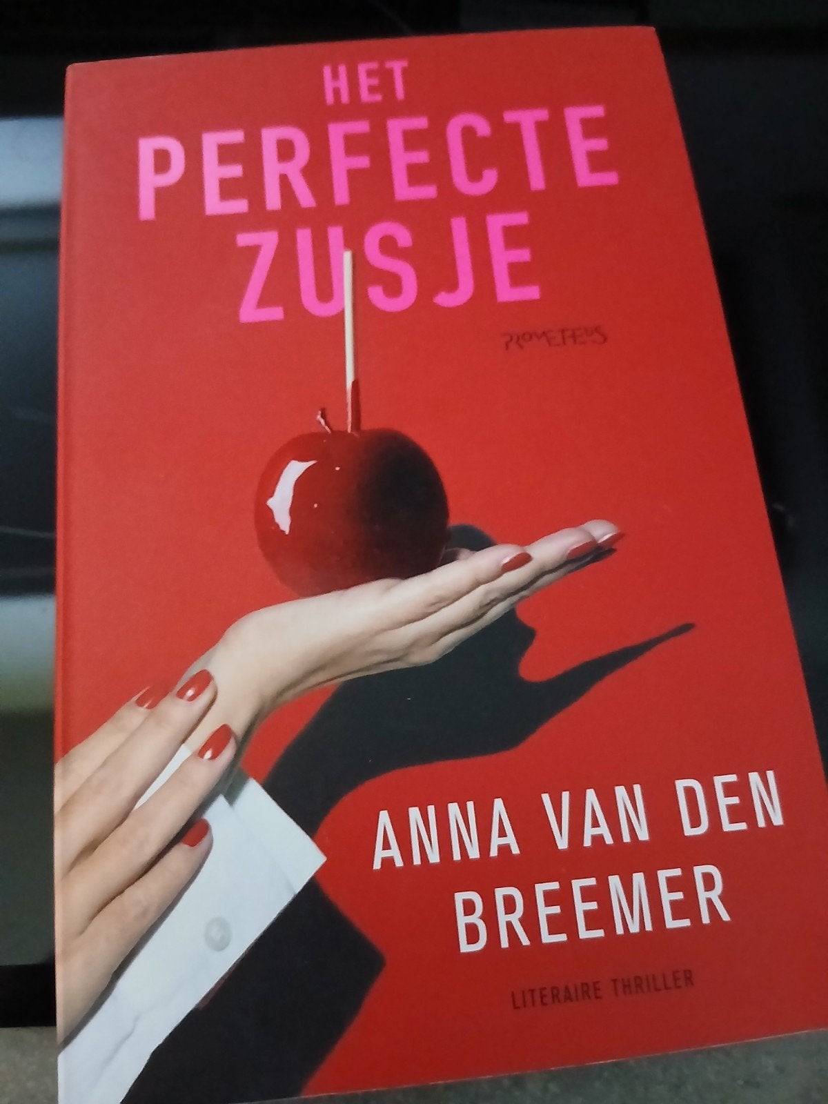 Het Perfecte Zusje - Anna van den Breemer (Thriller), Ophalen of Verzenden, Zo goed als nieuw, Anna van den Breemer, Nederland