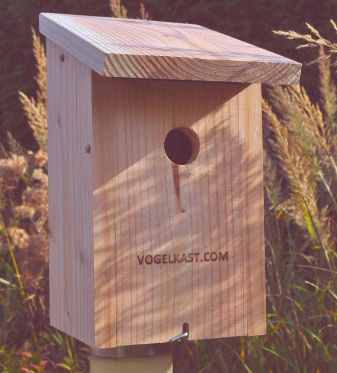 Eikenprocessierups vogelkast, Ophalen of Verzenden, Nieuw