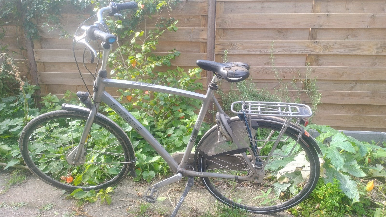 Gazelle Chamonix, Ophalen, Gebruikt, Minder dan 10 versnellingen, Gazelle
