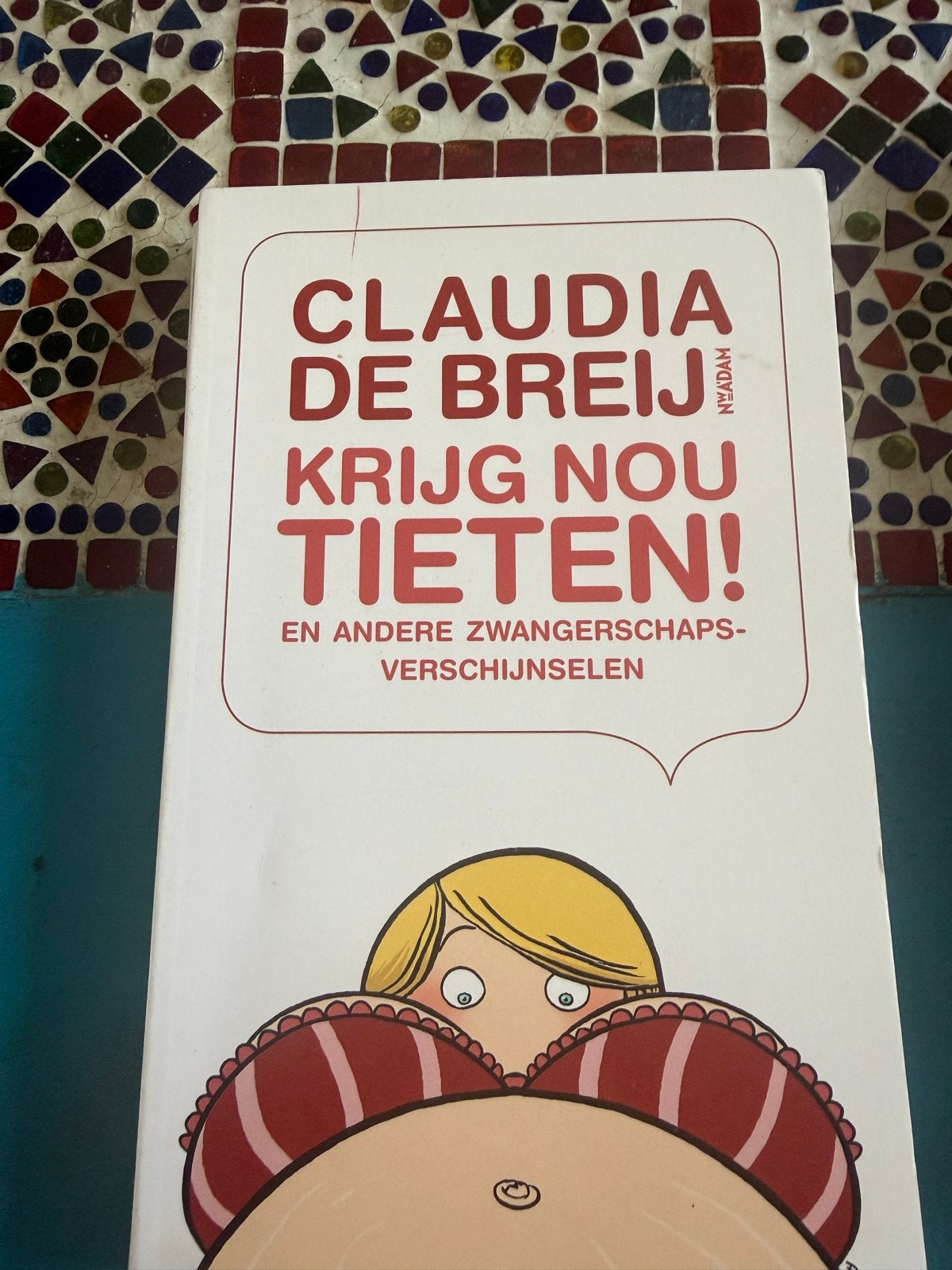 Claudia de Breij - Krijg nou tieten! (Zwangerschap), Ophalen of Verzenden, Zo goed als nieuw, Zwangerschap en Bevalling