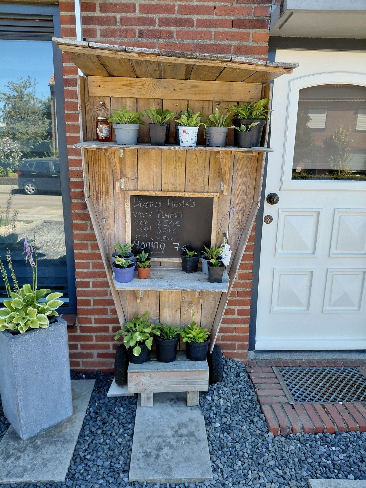 Diverse Hosta's - Vaste planten in verschillende maten, Ophalen of Verzenden, Vaste plant, Overige soorten, Halfschaduw