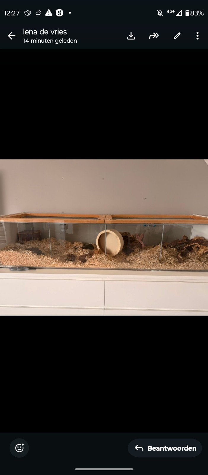 Hamsterkooi, Dieren en Toebehoren, Minder dan 75 cm, Zo goed als nieuw, Hok, Ophalen