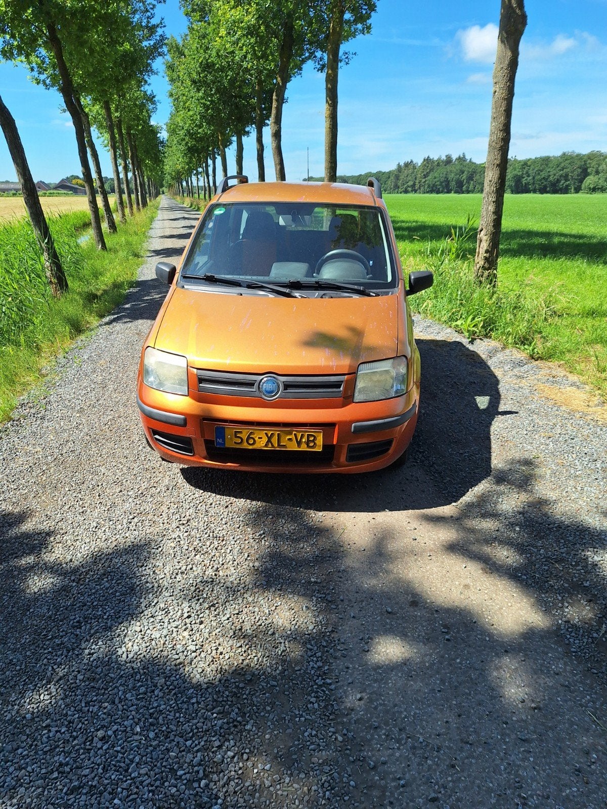 Fiat Panda 1.2 44KW 60PK 2007, Auto's, Fiat, Voorwielaandrijving, Stof, Origineel Nederlands, Overige kleuren