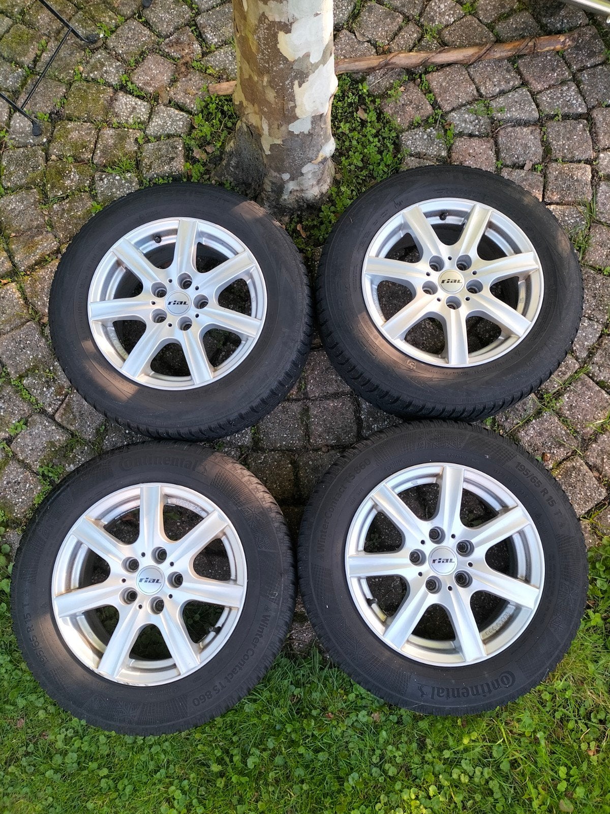 Winterbanden voor Octavia met Rial velgen - 195/65 R15, Ophalen, Gebruikt, 15 inch, Banden en Velgen