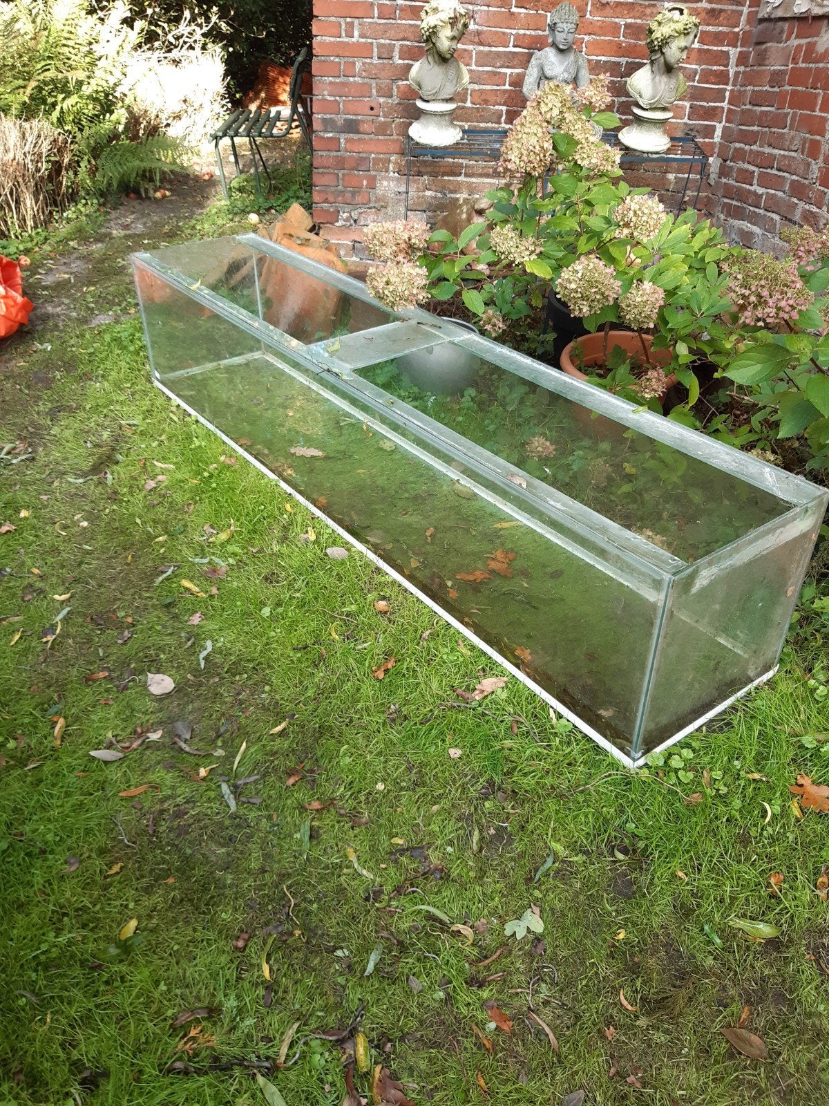 aquarium 2 meter met pomp, Ophalen, Leeg aquarium