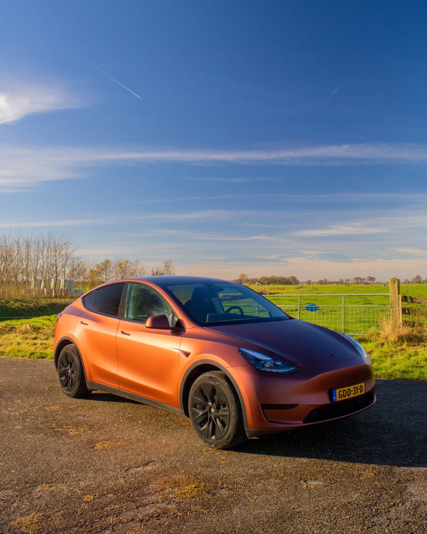 Tesla Model Y 2024 km stand 42.200, Auto's, Tesla, Automaat, Achterwielaandrijving, 375 min, Origineel Nederlands