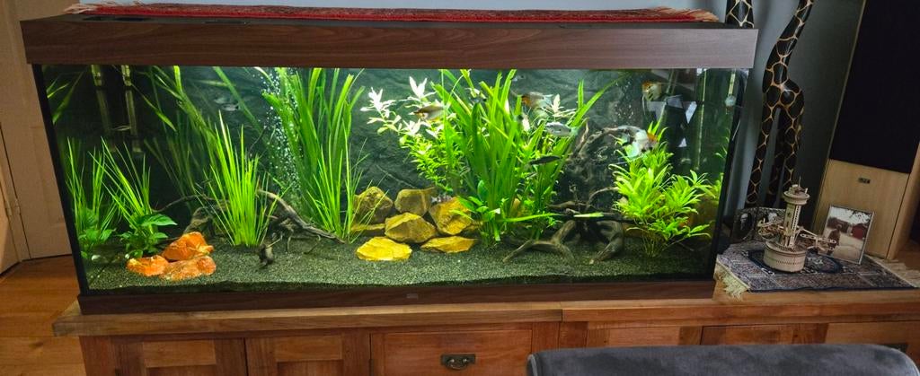Juwel rio 450 led, Dieren en Toebehoren, Ophalen