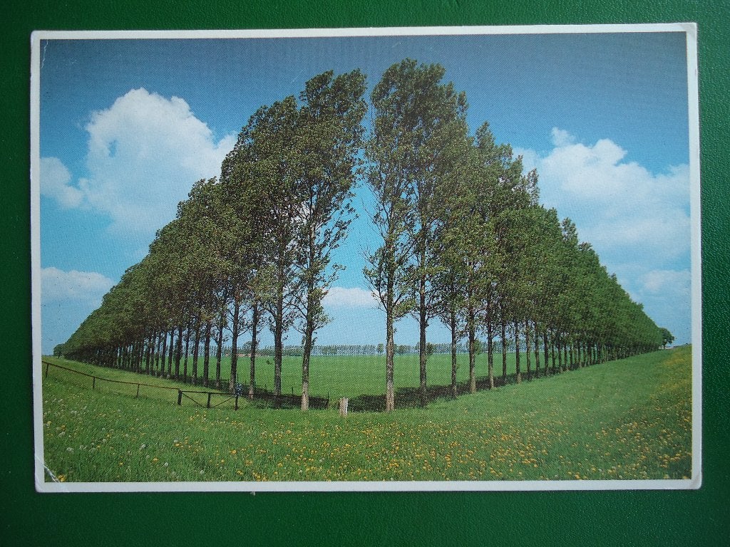 (268) Kaart: REIDERWOLDER POLDER, Verzenden, 1980 tot heden, Gelopen, Groningen