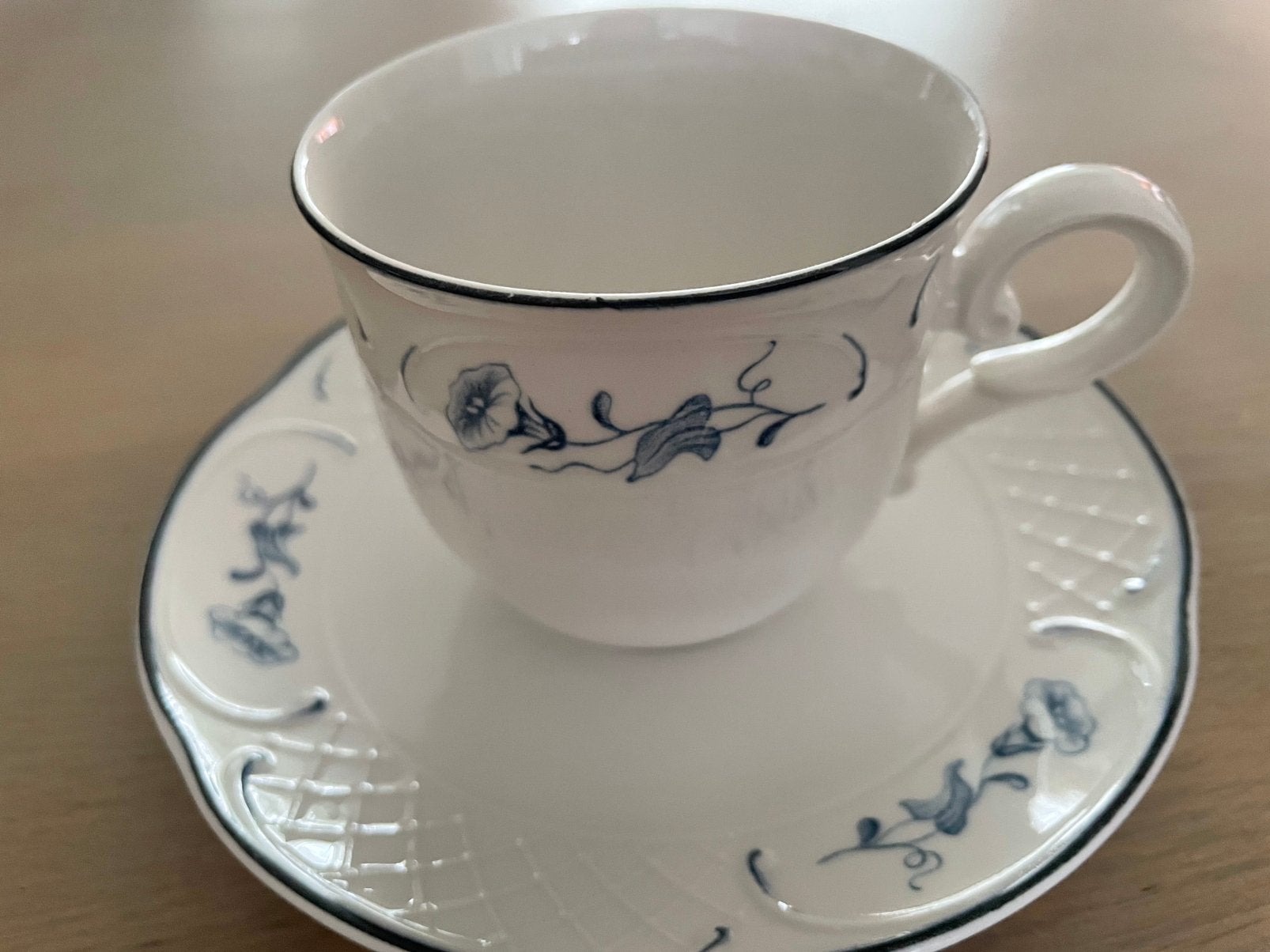 Villeroy & Boch "Val Bleu" – Kop en schotel zgan, Ophalen of Verzenden, Zo goed als nieuw, Porselein, Kop en/of schotel