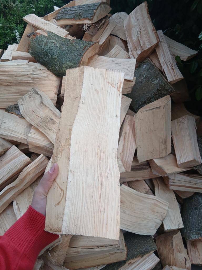 Essenhout vers gekloofd haardhout, Minder dan 3 m³, Ophalen, Essenhout, Blokken