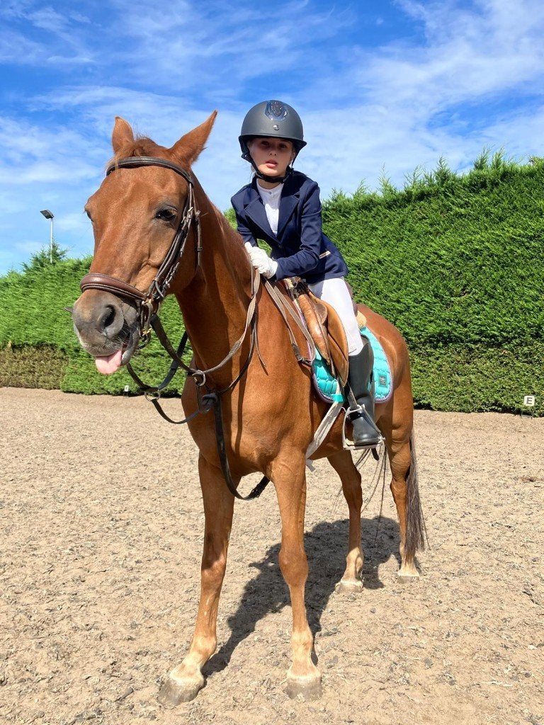 Verzorging paard gezohct, Ophalen of Verzenden, Nieuw