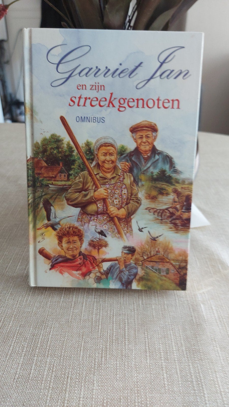 Garriet Jan en zijn streekgenoten - Omnibus, Boeken, Ophalen of Verzenden, Gelezen, Havanha, Herman J. Wijers, Gerrit Kraa