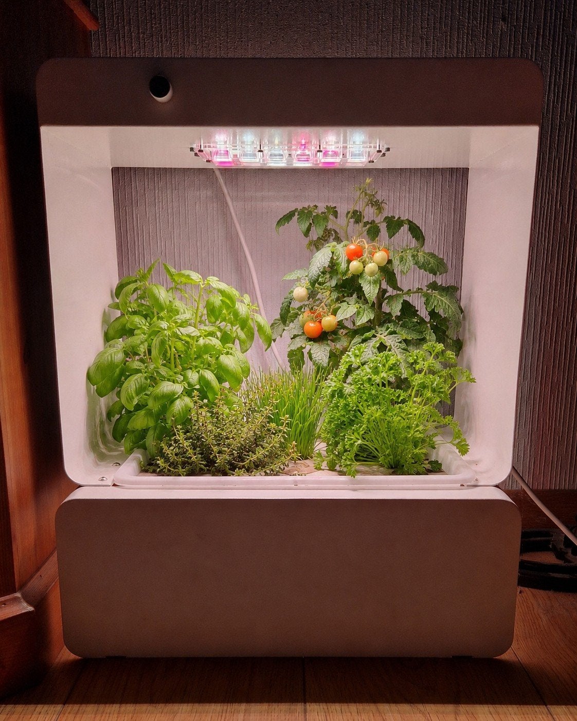 Compact kweekkasje / indoor groeikast met LED-groeilamp, Ophalen of Verzenden, Zo goed als nieuw, Kweekkast