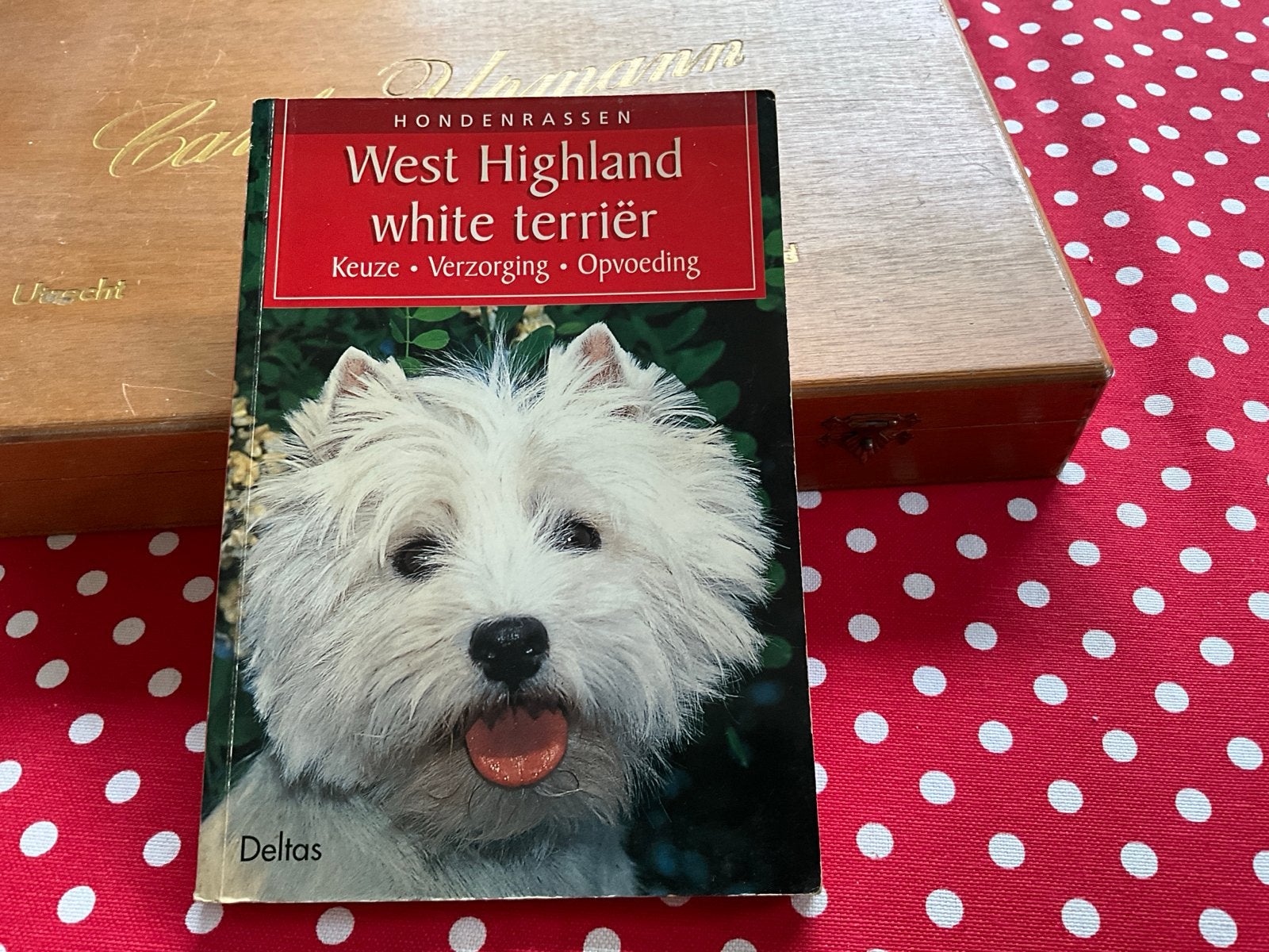 West Highland White Terriër: Keuze, Verzorging, Opvoeding, Ophalen of Verzenden, Gelezen, Honden