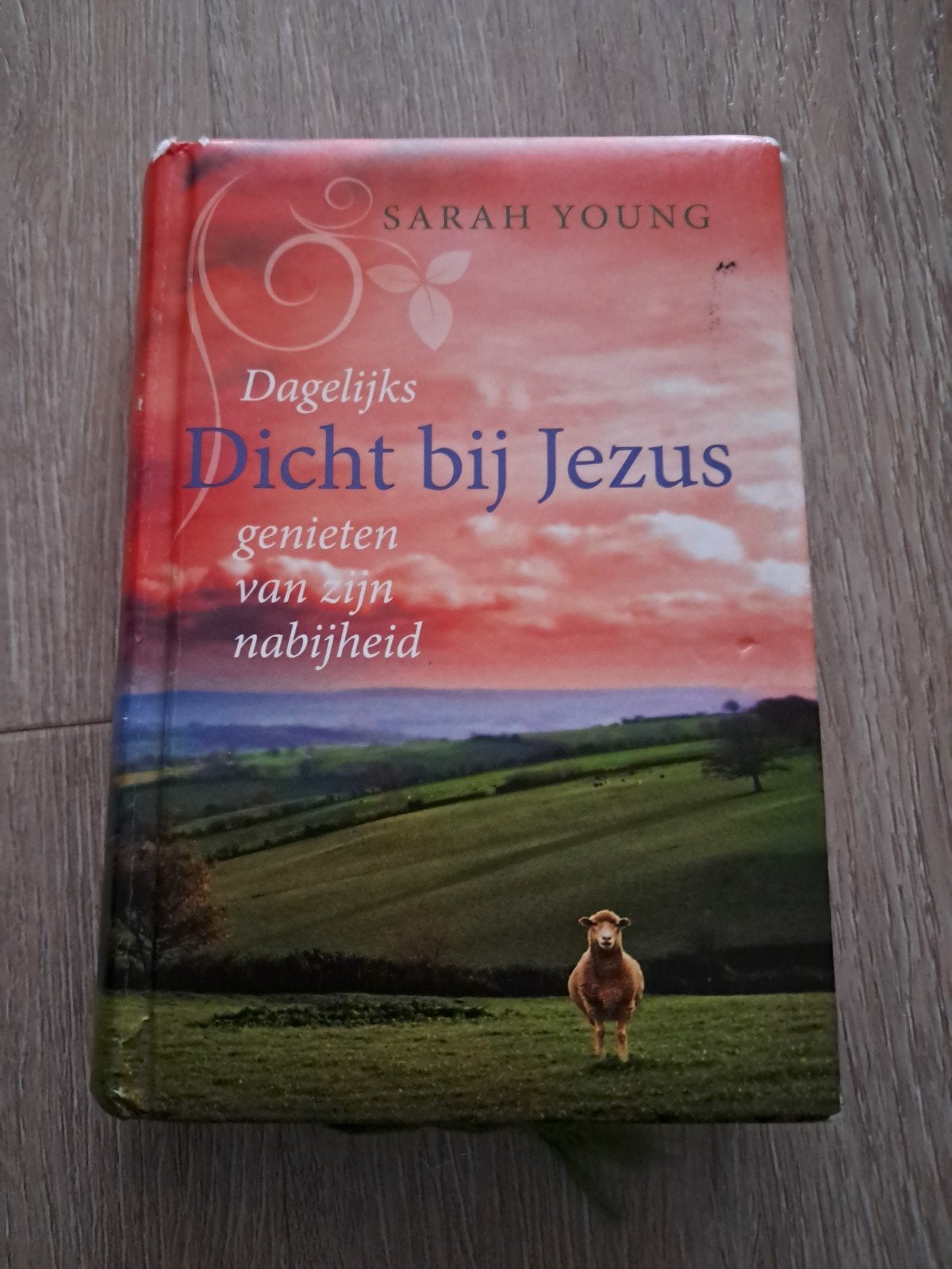 Sarah Young - Dicht bij Jezus, Verzenden, Zo goed als nieuw, Sarah Young