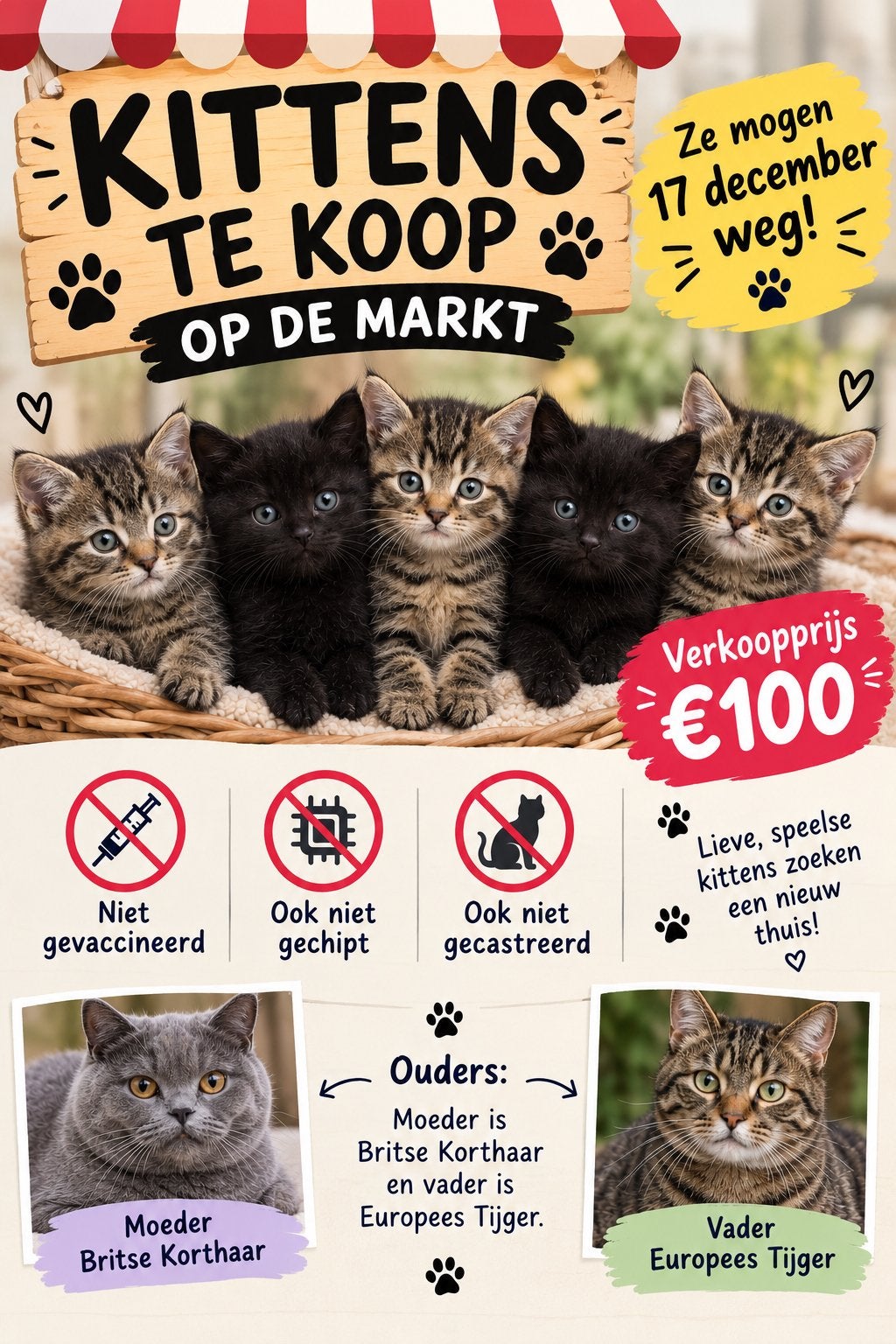 Kittens, Ophalen, Kat