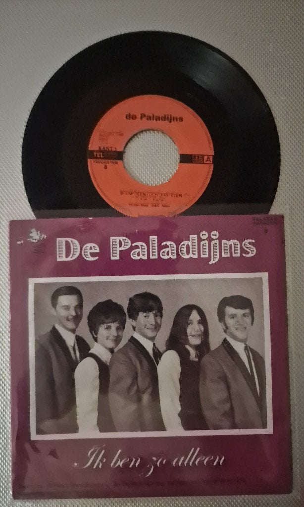 De Paladijns – Bouw Geen Luchtkastelen, Cd's en Dvd's, Ophalen of Verzenden, Gebruikt, 7 inch
